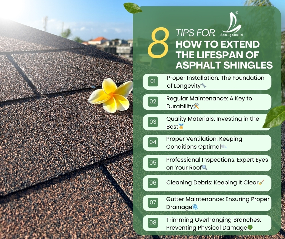 How to Extend the Lifespan of Asphalt Shingles An Expert Guide.jpg